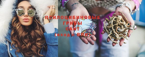 мяу мяу мука Балахна
