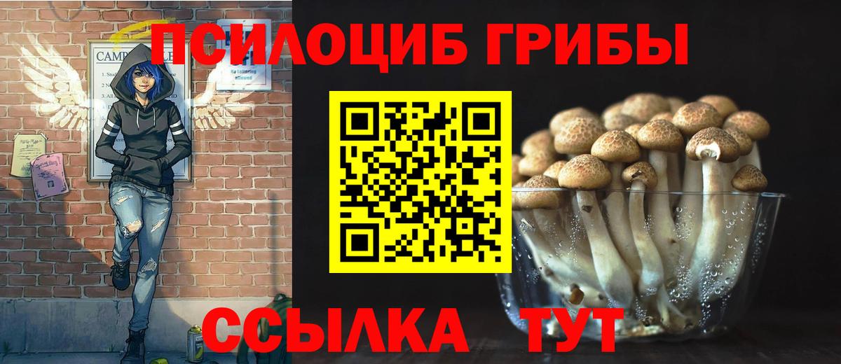 Асбест  Галлюциногенные грибы мухоморы  Вход с VPN  Псилоцибиновые грибы GOLDEN TEACHER 