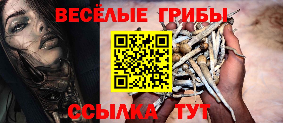 Псилоцибиновые грибы Cubensis  Асбест 